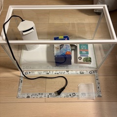 GEX50cm水槽とフィルター サイレトフィットのセット