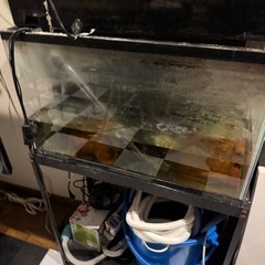 GEX60センチ水槽ラック付きフルセットの画像