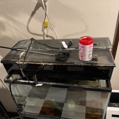 GEX60センチ水槽ラック付きフルセットの画像