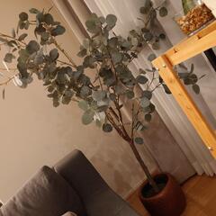 人工観葉植物他 10点セット