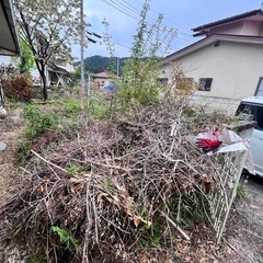 枝木、枯れ枝　薪　木材