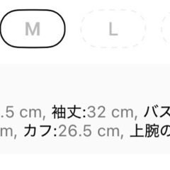 新品ストライプ柄のペプラムトップスの画像