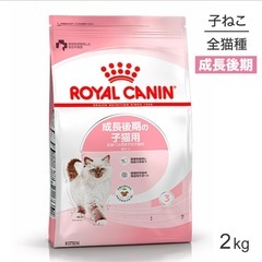 ロイヤルカナン キトン 
成長後期の子猫用 2kg