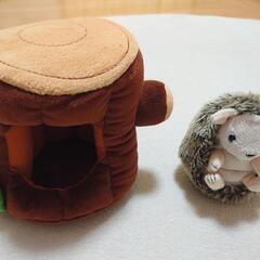 ぬいぐるみ ハリネズミ 切り株
