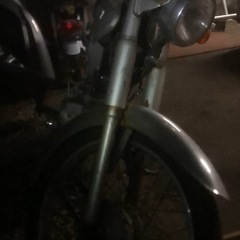 k50 コレダの画像