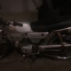 k50 コレダの画像