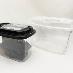 飼育ケース 虫カゴ 2個セット 未使用の資材付き