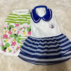 わんちゃん服3号