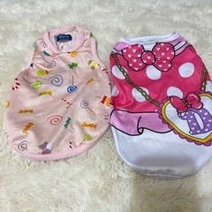 わんちゃん服Mサイズ夏冬の画像