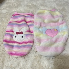 わんちゃん服Mサイズ夏冬の画像