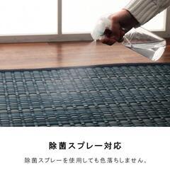  新品未使用/い草ござの画像