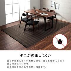  新品未使用/い草ござの画像