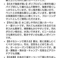  新品未使用/い草ござの画像