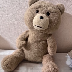 ぬいぐるみ TED テッド