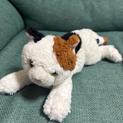 【差し上げます】ひざねこ　ぬいぐるみ