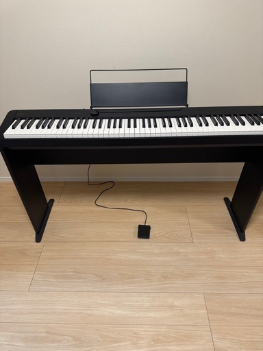 CASIO PX-1100