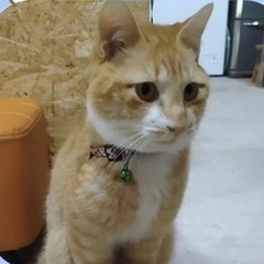 遊ぶの大好き❣️元気なころくん
