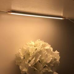 【新品・未使用】AIBOO LED の下の反対の照明設備、多目的灯 LEDバーライト 非接触 のキャビネットの滑走路端燈の照明キット、12 インチの 24V は台所、棒の画像