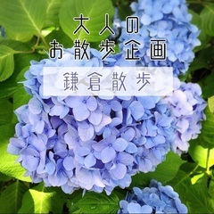 【鎌倉】６月７日（土）１１時〜大人の散歩企画⛩️