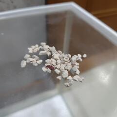 アクアリウム用　GEX ゼオライト 苔を抑える砂利　開封済み残り未使用 No.⑨の画像