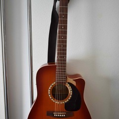 Art & Lutherie CW Cedar Sunrise QI
