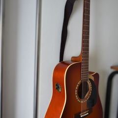 Art & Lutherie CW Cedar Sunrise QIの画像