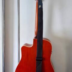 Art & Lutherie CW Cedar Sunrise QIの画像