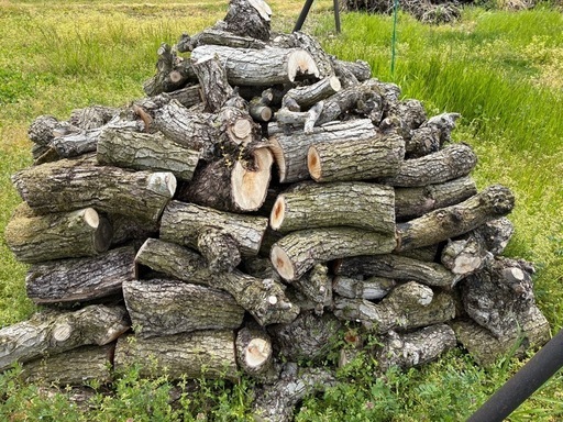 薪用の梨の玉切り 3トン 5月連休までに引取り限定(福島市)