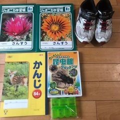瞬足etcの画像