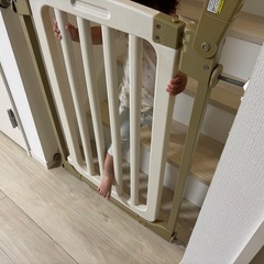ベビーゲートの画像