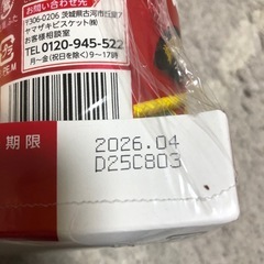 チップスター　うすしお味　8入の画像