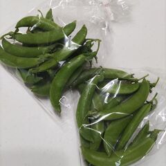 無農薬★野菜
