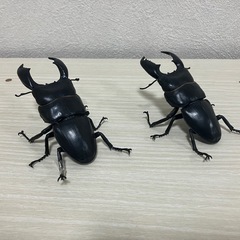 早い者勝ち‼️いろいろな生き物セットの画像