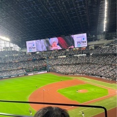 北海道日本ハムファイターズ　ペアチケット ⑤