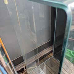 90センチ水槽の画像