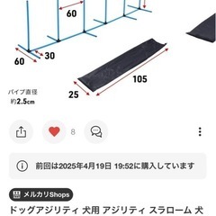 ドッグ　アジリティの画像