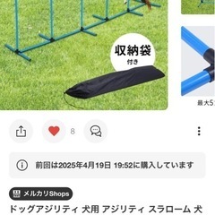 ドッグ　アジリティ