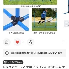 ドッグ　アジリティの画像