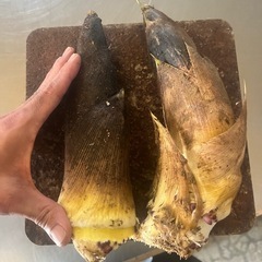 山菜各種　　
無くなり次第終了の画像