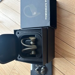 Powerbeats Pro ブラック ワイヤレスイヤホンの画像