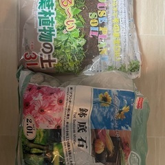 観葉植物の土と鉢底石