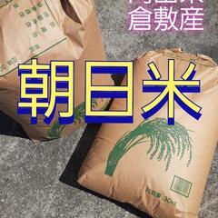 朝日米 玄米 30kg 入水後無農薬 2024年産(令和6年産)