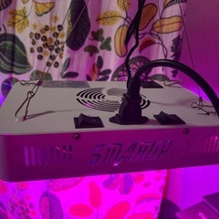 植物の育成ライトの画像