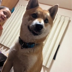里親募集