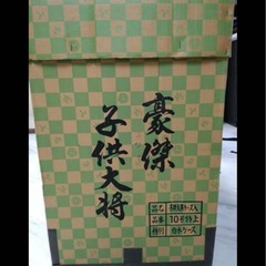 【美品】豪傑 子供大将10号特上の画像
