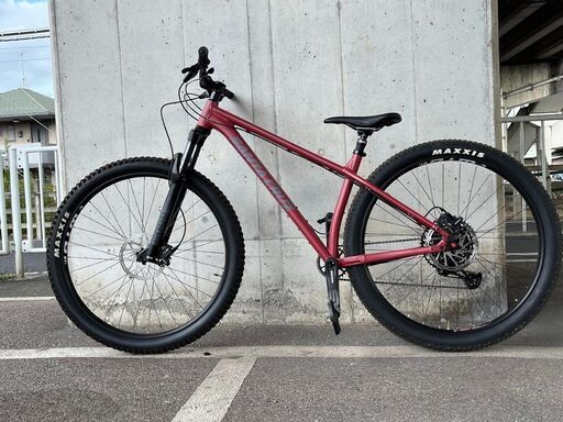 サンタクルズ　カメレオンSANTACRUZ 29er mtb　クロスバイクマウンテンバイク