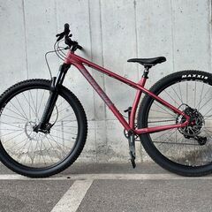 サンタクルズ　カメレオンSANTACRUZ 29er mtb