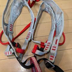 沢登り用ハーネスの画像