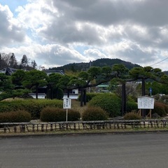 昼間に時間ある方で、のんびり話せる友達募集です。