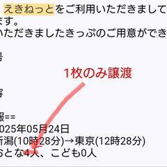 5月24日 土曜 上越新幹線 新潟→東京 eチケ 1枚